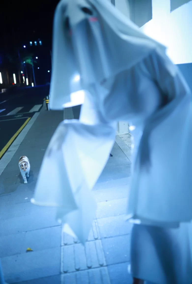 国产coser [上杉绘梨落] - 幽灵娘【37P+635MB】
