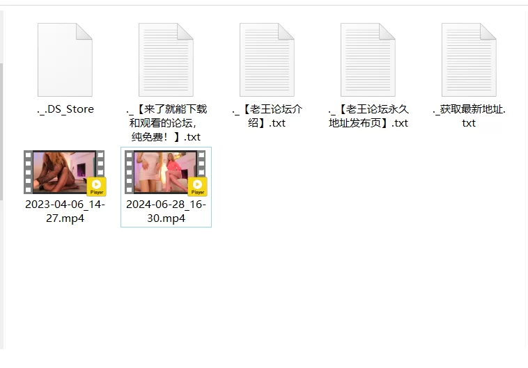 高颜值 d-精品CB站丝袜美熟2部，一部单人一部双人【2v+4.09g】