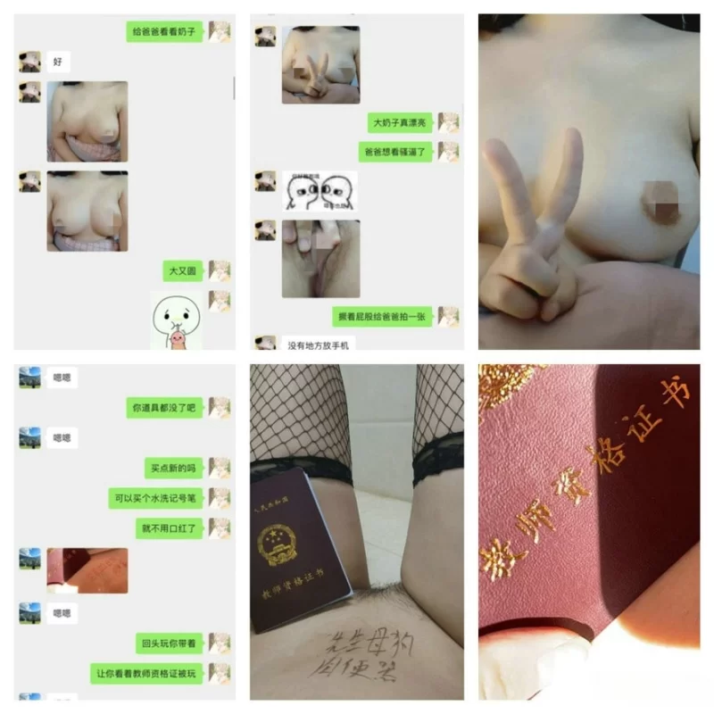 合法萝莉 [调教母狗教材]大神收徒传授勾搭 实战调教母狗教材2【16V+100P+1.54G】