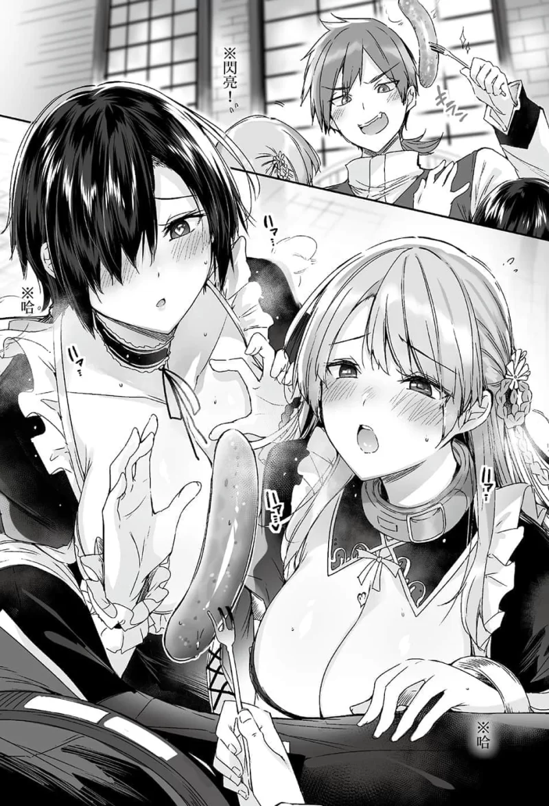 其他 最强奴隶商的烙印魔术与美少女的堕落轻小说【+18M】