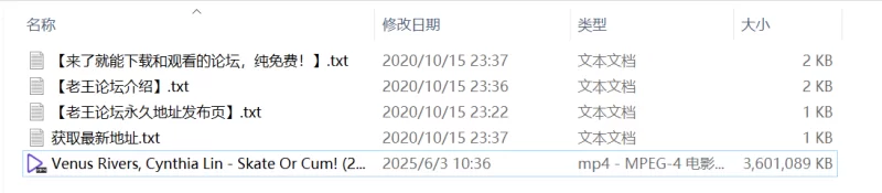 其他 公共场所户外做爱【1v+3g】
