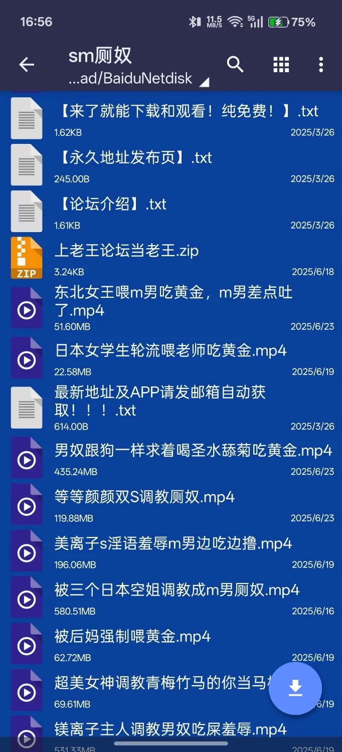 SM 男奴黄金圣水口舌调教合集2/黄金/吃屎/m男/舔屁眼/舔菊【11v+2.27G】