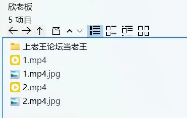 美女御姐 [视频]抖音50万粉丝福利姬美女欣老板 舞蹈玩具自慰【2V+404M】