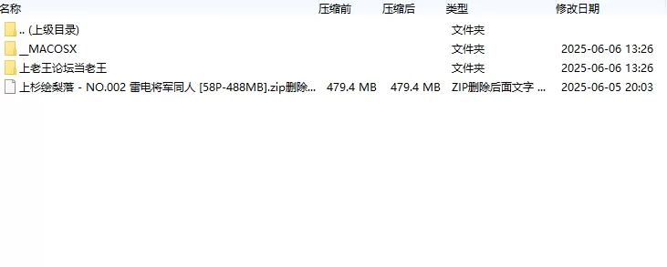 国产coser 上杉绘梨落 - NO.002 雷电将军同人【58P+488MB】