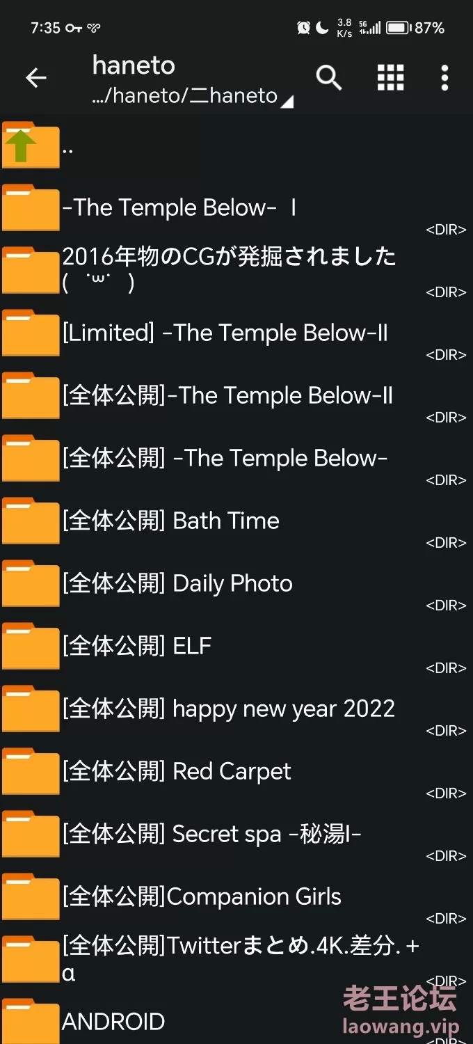 漏点 Haneto 3D套图【一堆套图+2g】
