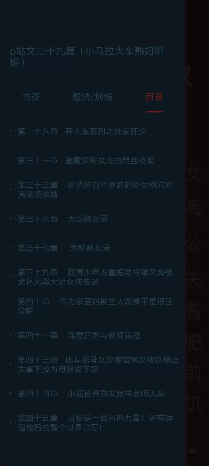 合集 p站文二十九篇（小马拉大车熟妇御姐）【+3M】