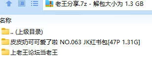 福利姬 皮皮奶可可爱了啦 NO.063 JK红书包【47P+1.31G】