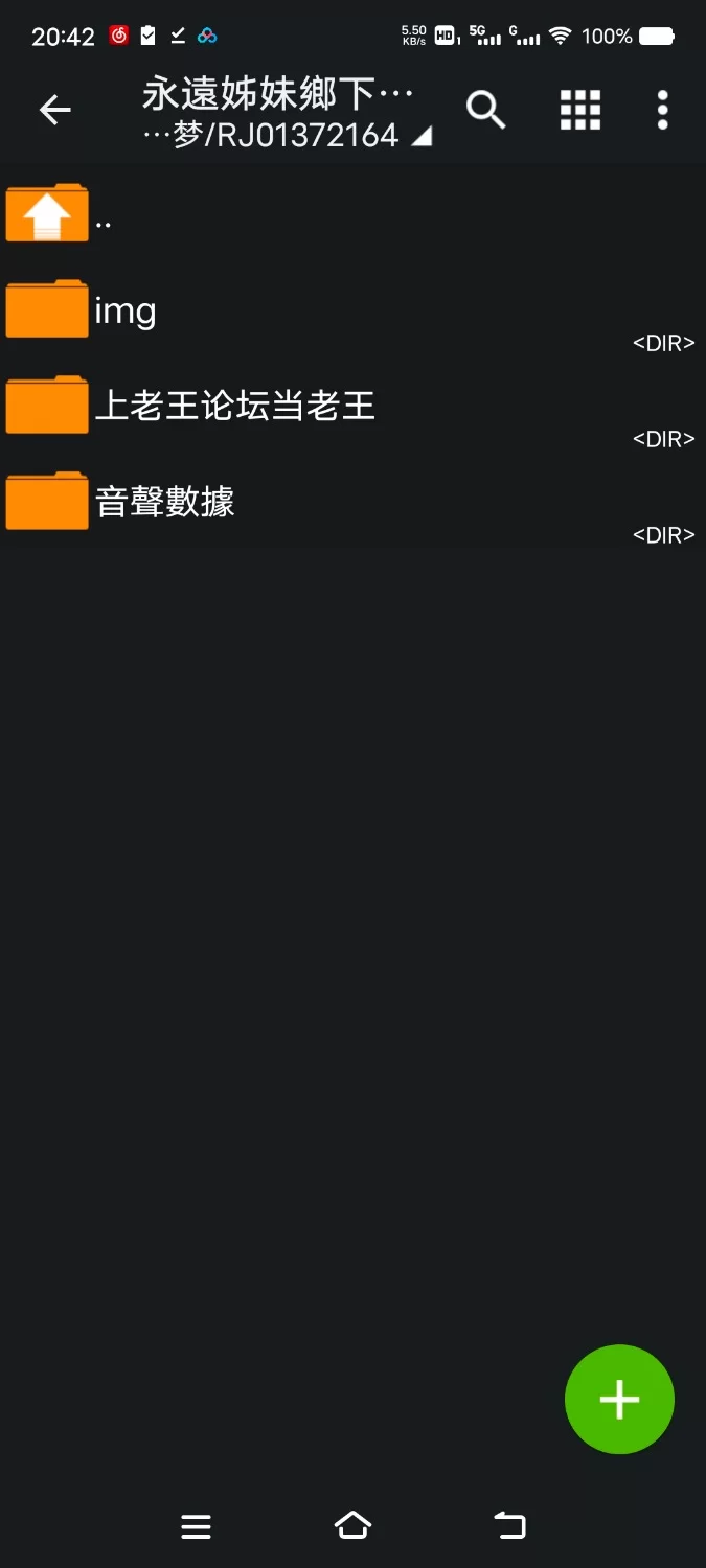 ASMR [繁体中文版]永远停不下来~长大后的我与H系大姐姐们的激情之夜【8V+1.1G】