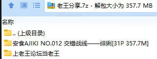 福利姬 安食AJIKI NO.012 交错战线 绯猁【31P+357.7M】