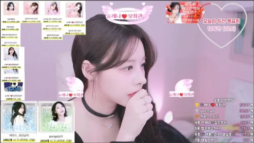 日韩主播 [韩国美女直播]20250630【合集+24.3G】