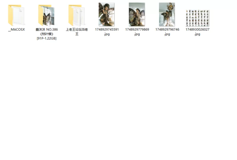 国产coser 蠢沫沫 NO.386《枯叶蝶》【91P+1.22GB】