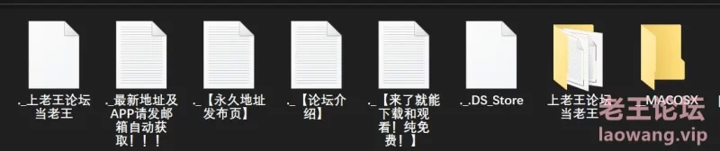 漏点 Lena Paul 莉娜·保罗 写真系列【未知数+33GB】