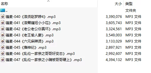ASMR 骚麦合集7 激情骚麦/8部合一 [MP3版][中文][040-047]【1+30M】