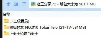 福利姬 黑猫的窝 NO.010 Tokai Teio【21P1V+581MB】