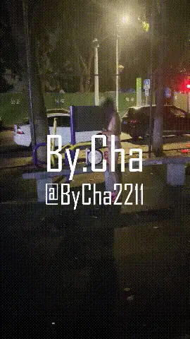 各种玩法 户外露出、啪啪、口交、颜射、脸带精液街上走、车上啪啪【402V+137G】