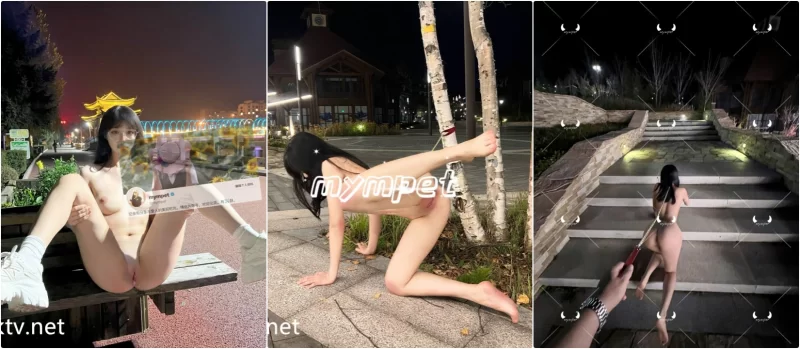 美女御姐 5月新档明星颜值露脸女神『MYMPET』被金主爸爸当成鸡巴套【134v+256p+3.67g】
