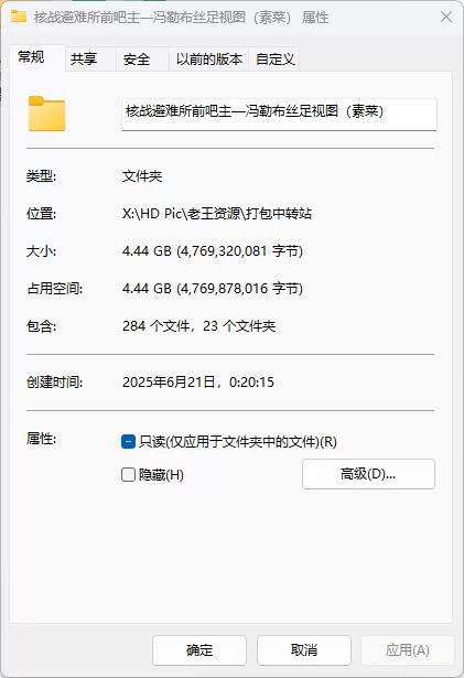 合法萝莉 核战避难所前吧主—冯勒布丝足视图（素菜）【NP+NV+4.44G】