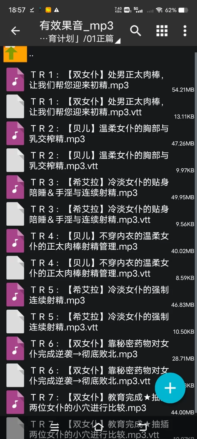 ASMR [简体中文版]正太猎人双女仆的「鸡鸡教育计划」～把可爱的蛋蛋榨得一滴不剩【7V+350M】