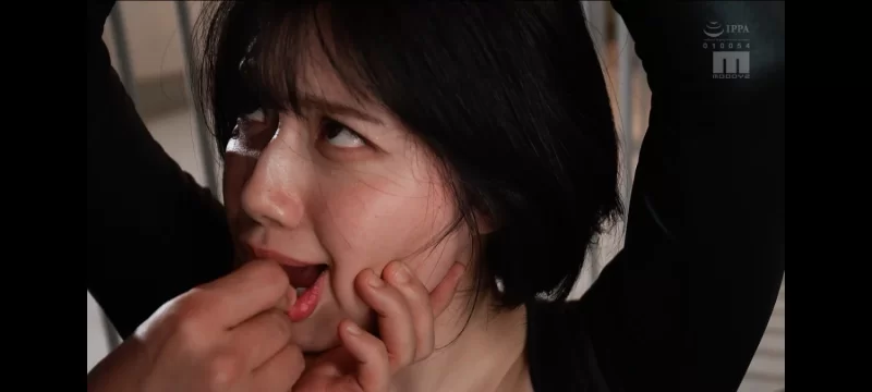 知名女优 00后推荐33:石原希望【23v+3000M+】