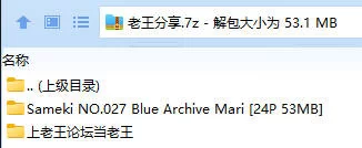 福利姬 Sameki NO.027 Blue Archive Mari【24P+53MB】