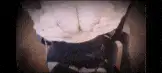 自拍 张爱玲新增调教爆乳湿身秘书黑丝高跟抹油乳交定制【1+650m】