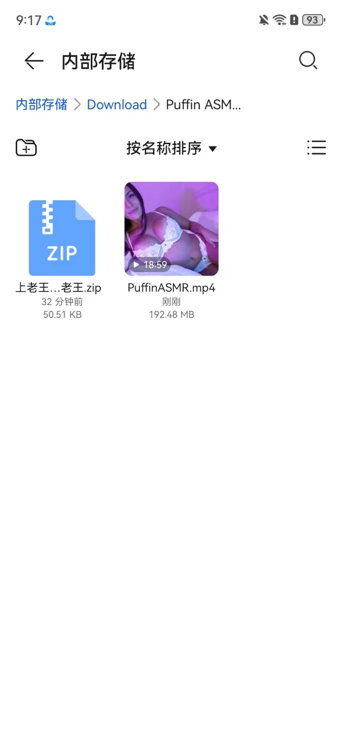 ASMR Puffin ASMR【1V+200MB】