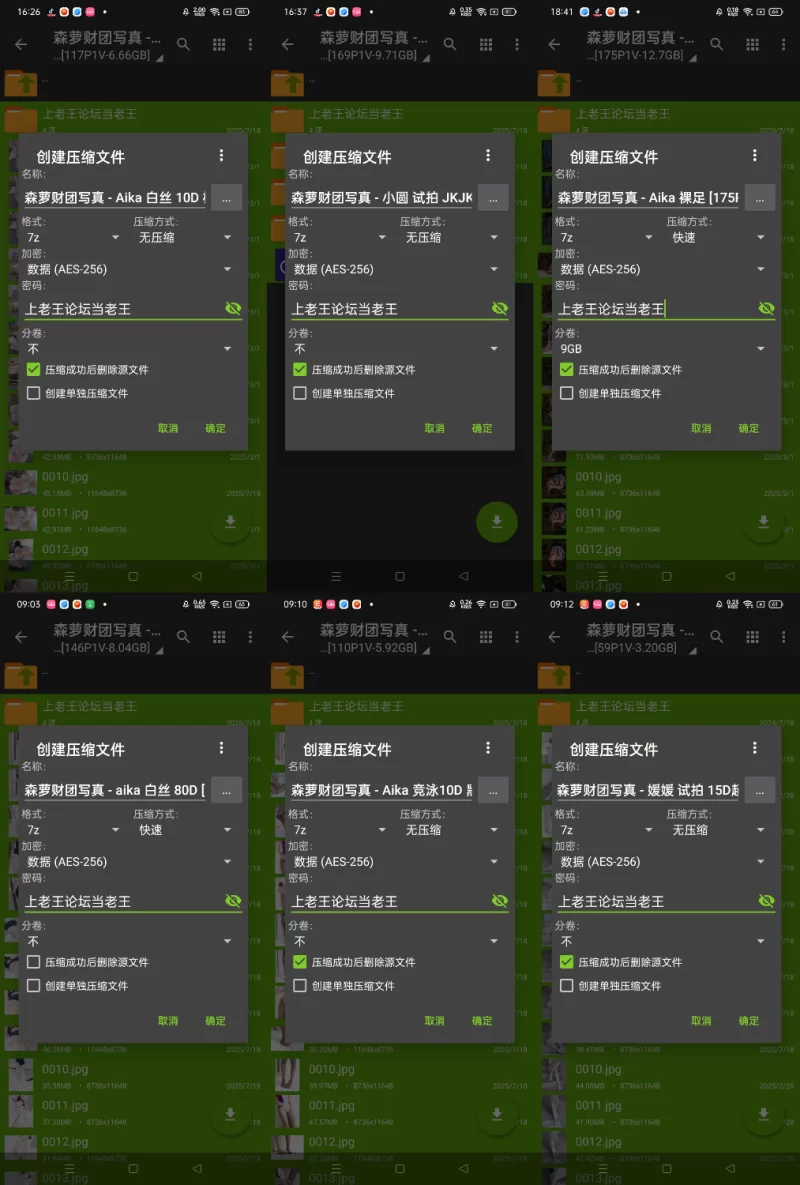 国产coser 森萝财团2025年5套合集【776P/6V+46.3G】