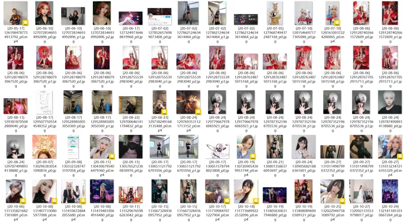 国产coser [COSPLAY/合集/带视频] [25Bilibili World漫展][Coser 야살/Yasal 全平台【1+1.3g】