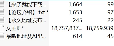 国产coser 女主K 写真46套合集【46套+17.47g】