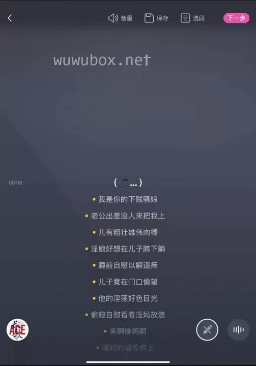 合集类 淫词艳曲小黄歌-AI音乐视频-视听版（带歌词）【363V+32.95G】