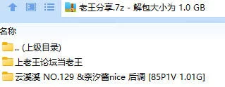 福利姬 云溪溪 NO.129 &奈汐酱nice 后调【85P1V+1.01G】