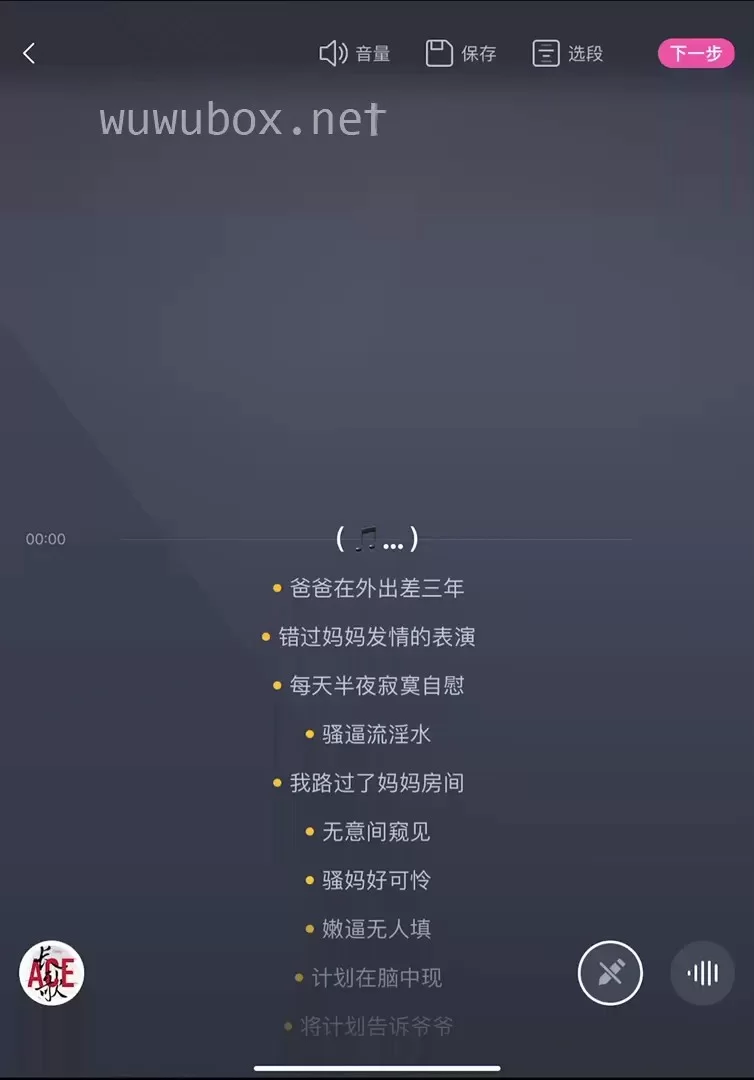 合集类 淫词艳曲小黄歌-AI音乐视频-视听版（带歌词）【363V+32.95G】