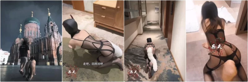 美女御姐 推特大神[潇洒匹夫]付费福利，顶级调教舞蹈生，一字【18v+2.8g】
