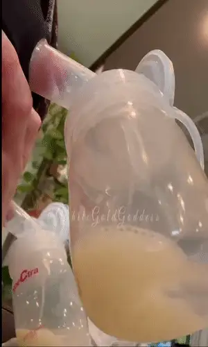 少妇 我有一杯母乳拿铁想要喝吗极品大奶牛乳汁四射后续4【1+1G】