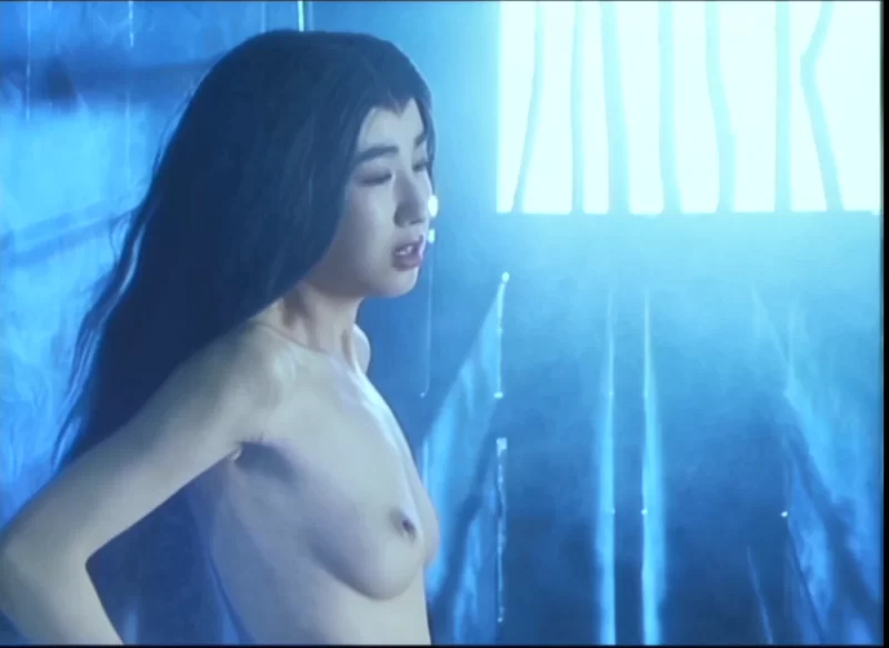 合集 女忍者忍法帖 くノ一忍法帖系列1-4部高清修复版合集【4V+17G】