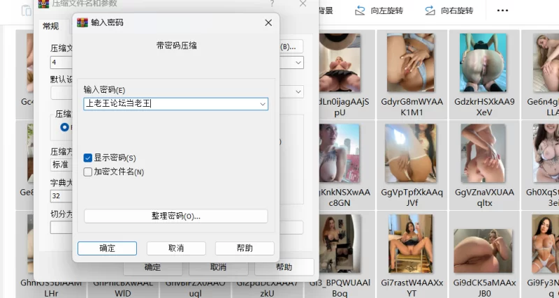 自己收集的推图【2101p+1.03g】