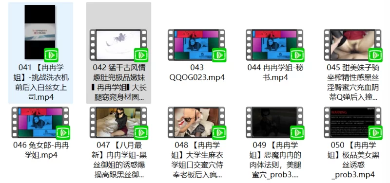 合集 冉冉学姐合集-5【10v+13.71g】