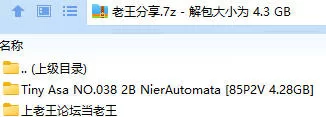 福利姬 Tiny Asa NO.038 2B NierAutomata【85P2V+4.28GB】
