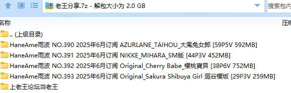 福利姬 HaneAme雨波 NO.390 2025年6月订阅 4套【170p,17v+2G】