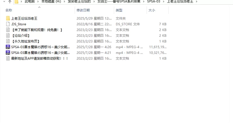 合集 GIGA女战士系列4K超清珍藏版-番号SPSA-03【1V+20G】