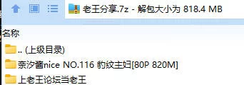 福利姬 奈汐酱nice NO.116 豹纹主妇【80P+820M】
