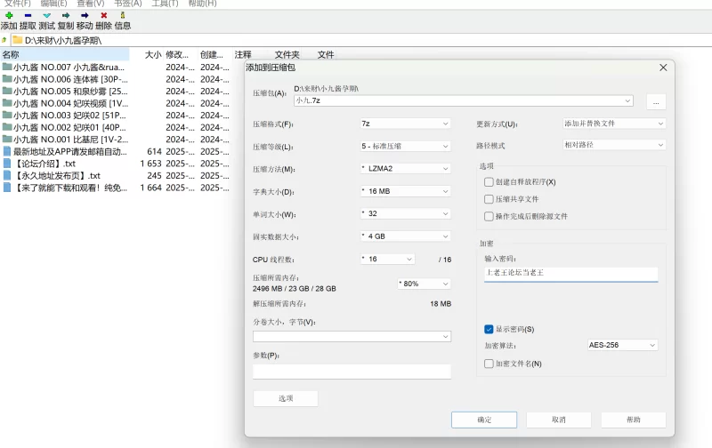 国产模特 推特福利姬小九酱孕期写真【196p2v+3.1G】