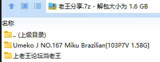 福利姬 Umeko J NO.167 Miku Brazilian【103P7V+1.58G】