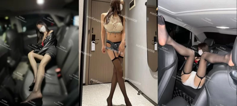 美女御姐 推特泄欲玩物，无爱不欢骚母狗[流泪番茄、小小茄]VIP【1v+595m】