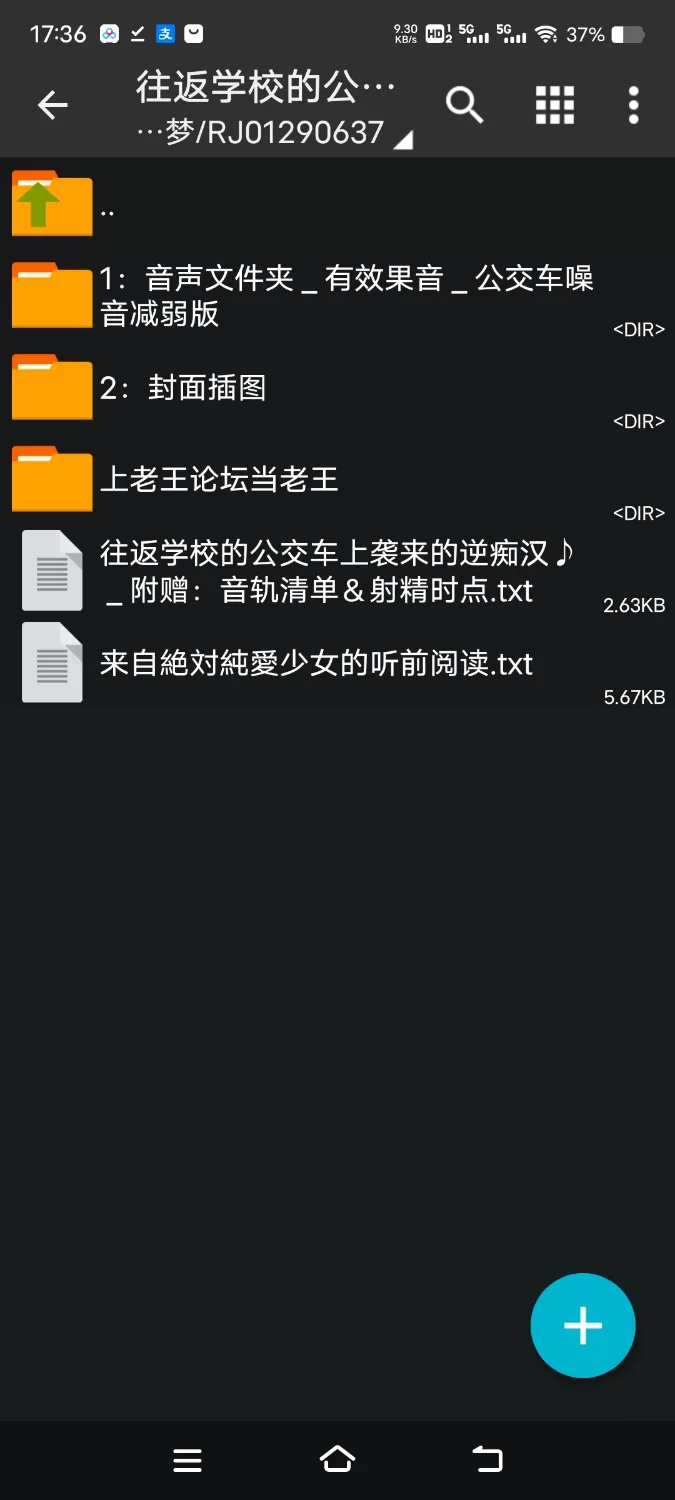 性爱录音 [简体中文版]公交车上袭来的逆痴汉高中生前辈、狂妄的淫乱小恶魔变成肉棒奴隶报恩【6V+1.4G】