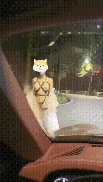 美女御姐 M系性感母狗『肉欲系的考拉』三个狗子一起享受主人的滴【12v+283m】