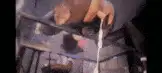 自拍 巨乳肥臀桃一连体黑丝抖奶道具自慰高潮痉挛无水印版【1+1g】