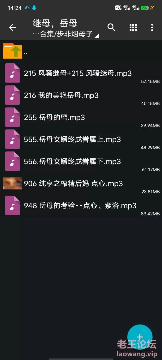 合集类 [重新打包]步非烟母子系列音声合集 [57音频+2.87g]【57个音频+2.87G】
