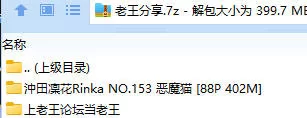 福利姬 沖田凜花Rinka NO.153 恶魔猫【88P+402M】