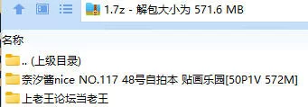 福利姬 奈汐酱nice NO.117 48号自拍本 贴画乐园【50P1V+572M】